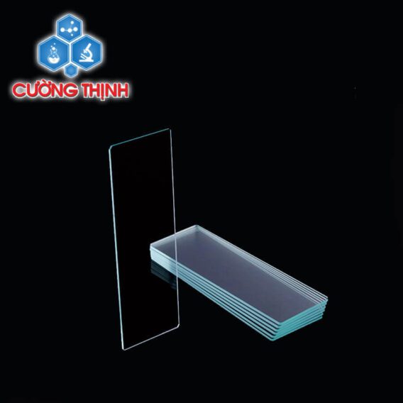 Lam kính thường 25.4 x 76.2mm (Biologix - Mỹ)