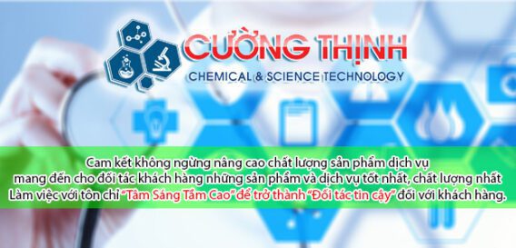 Shoplabs.vn