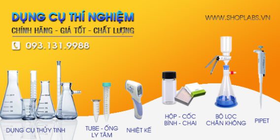 Shop Labs 8