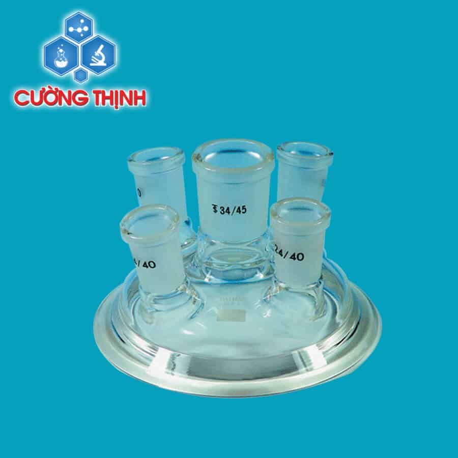 Hệ thống phản ứng chân không 5~100Lit (Daihan - Hàn Quốc) 2 Hệ thống phản ứng chân không 5~100Lit (Daihan - Hàn Quốc) - Ảnh 2