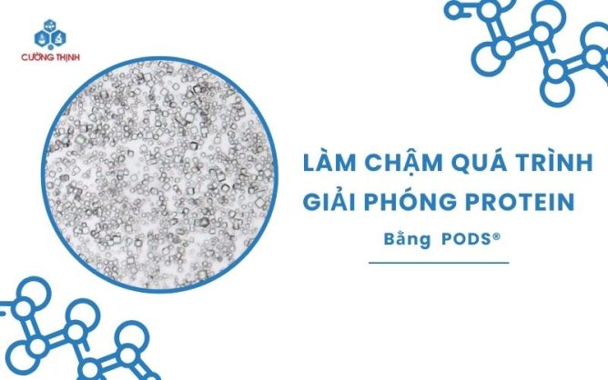 Làm chậm quá trình giải phóng protein bằng PODS® 6