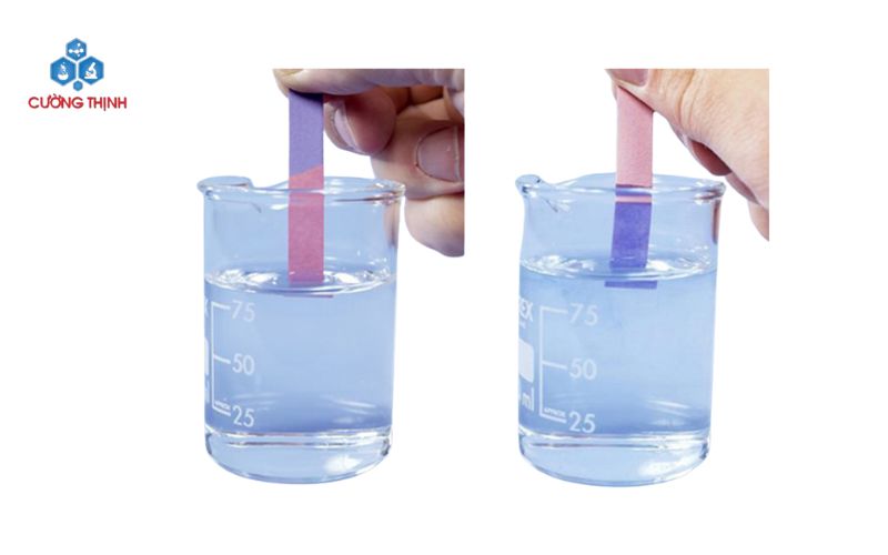 Cách sử dụng giấy quỳ tím