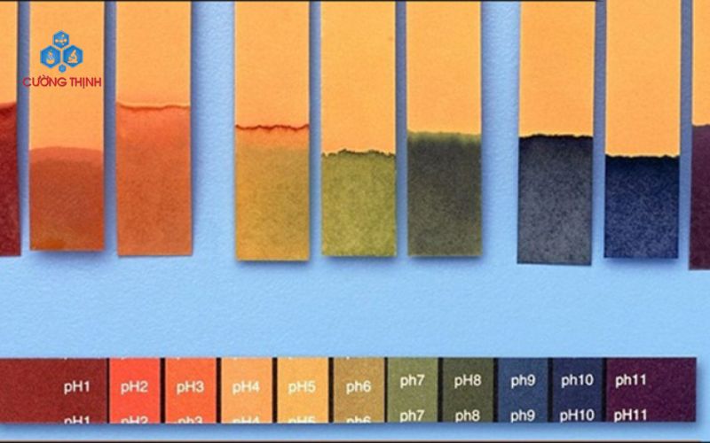 Vì sao cần chọn đúng nơi mua giấy quỳ tím?