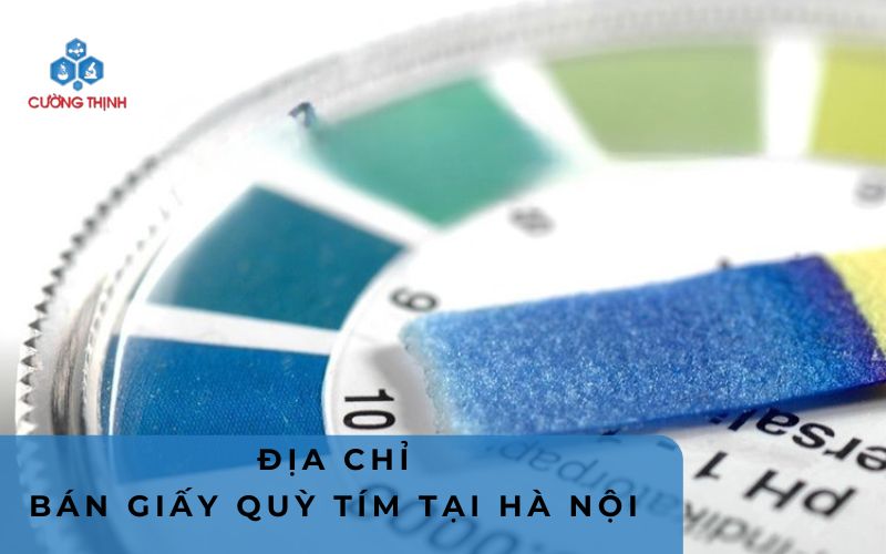 Giấy quỳ tím mua ở đâu uy tín, chính hãng? Top 5 địa chỉ đáng tin cậy tại Hà Nội